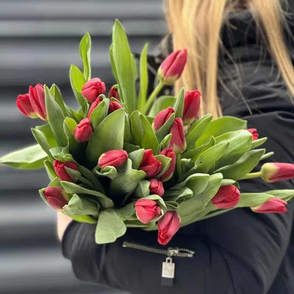 27 красных тюльпанов