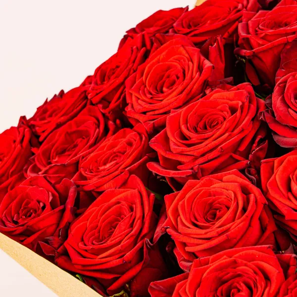 93 красных роз (50 см)