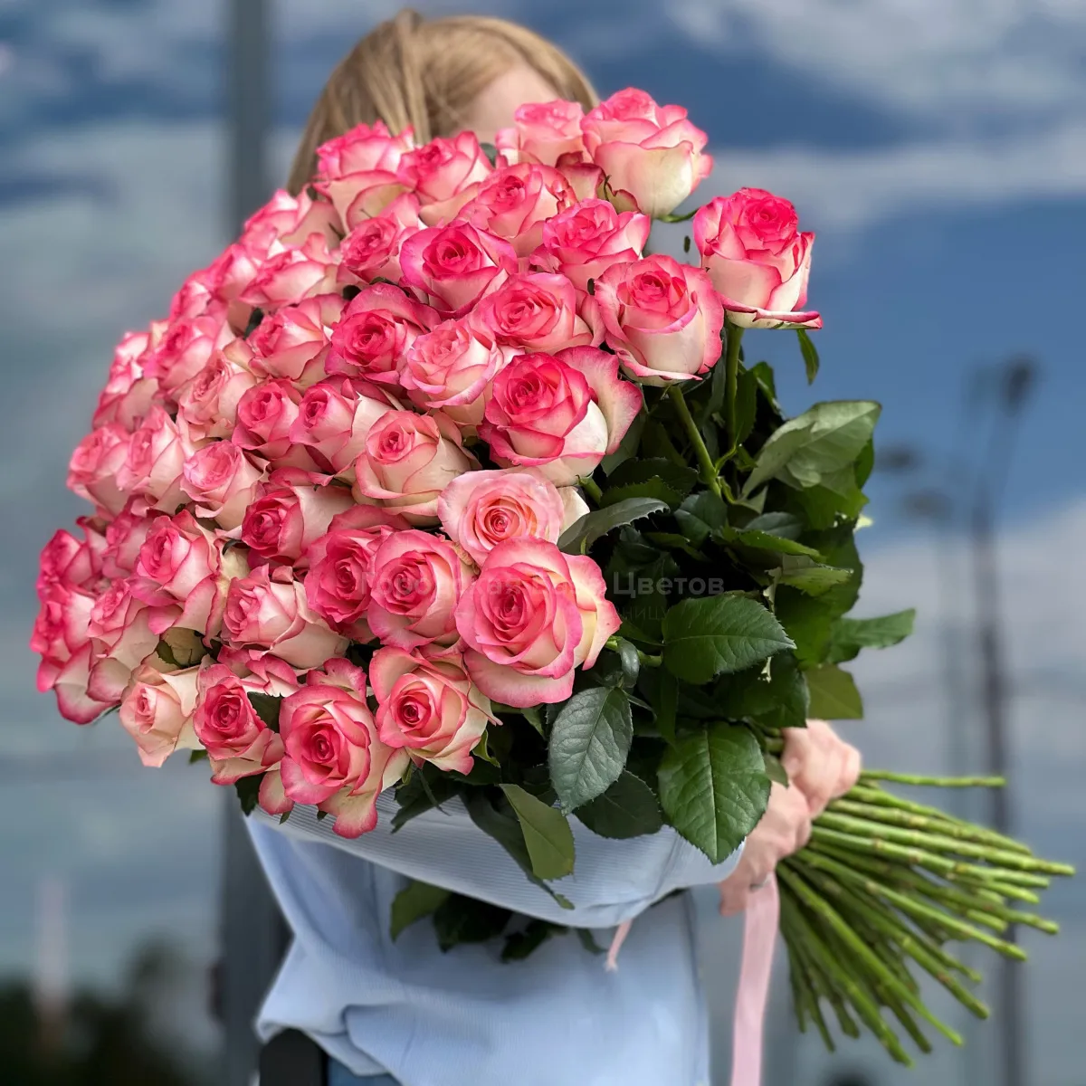 63 бело-розовых роз (60 см)
