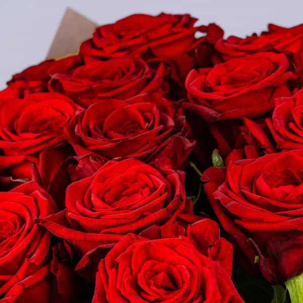 17 красных роз (50 см)