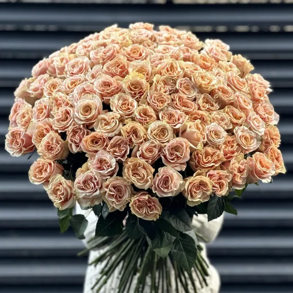 Букет 101 кремовая роза эквадор (70см)