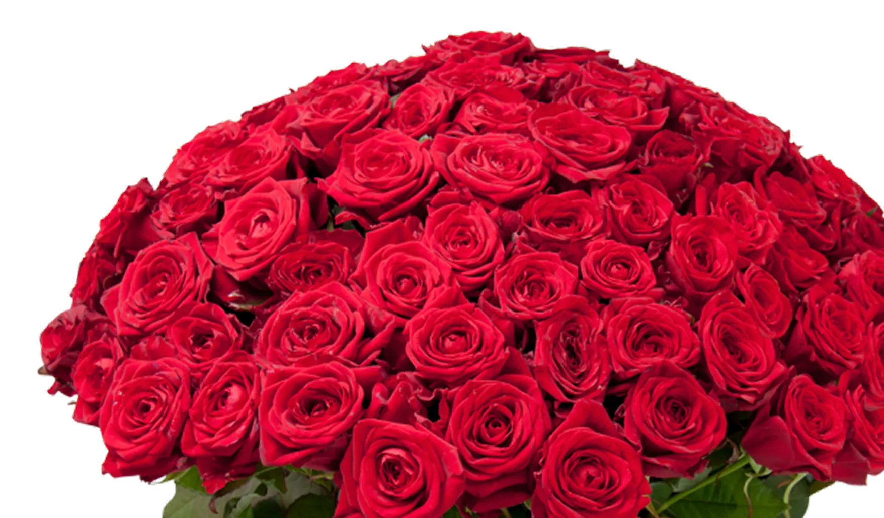 flower-image