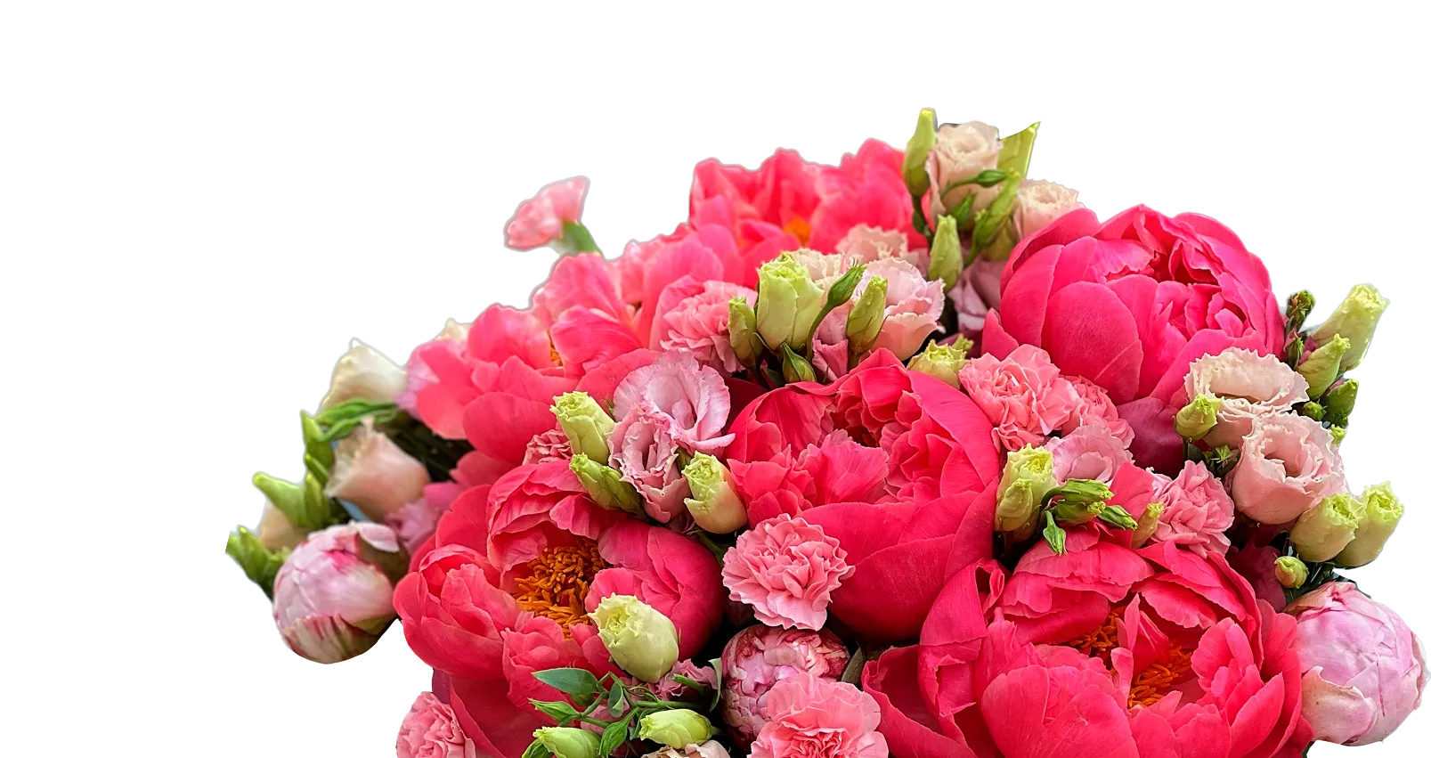 flower-image
