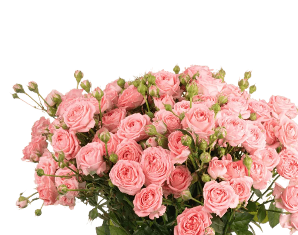 flower-image