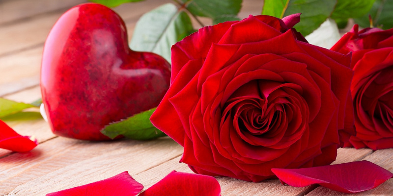 Как выбрать верное количество роз в букете: советы флористов 