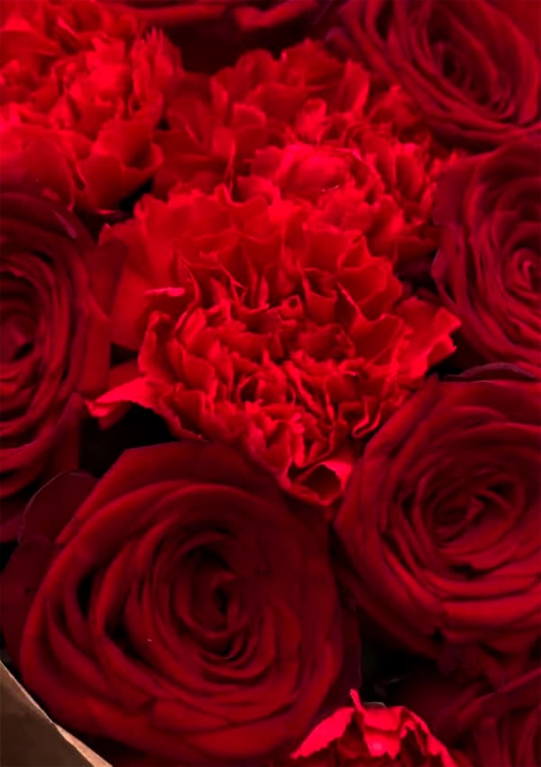 Классика страсти