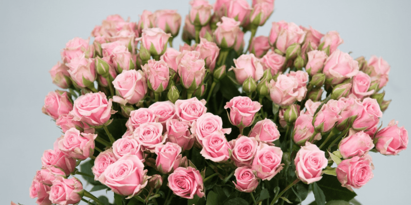 Кустовая роза Одилия: советы по оформлению букета