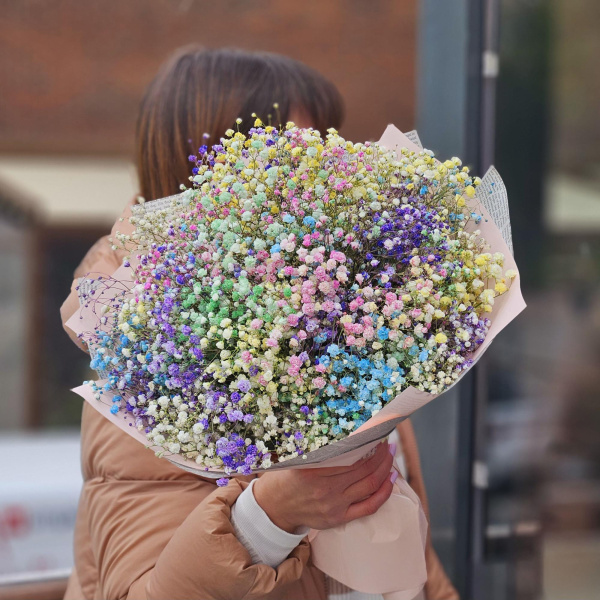 11 гипсофилов