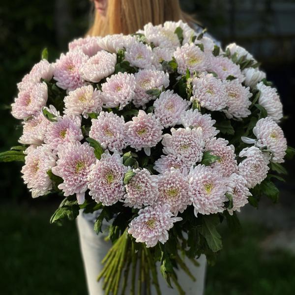 31 одноголовая хризантема