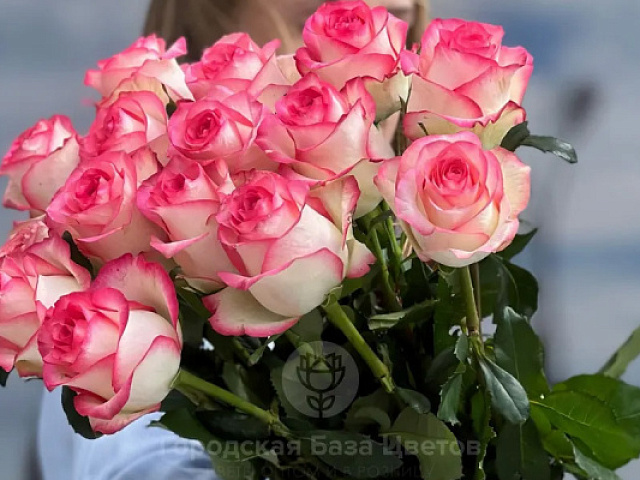 Как реанимировать розы