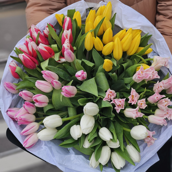 51 тюльпанов