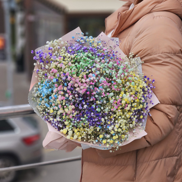 11 гипсофилов