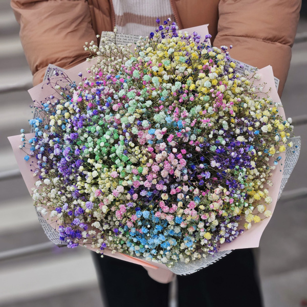 11 гипсофилов