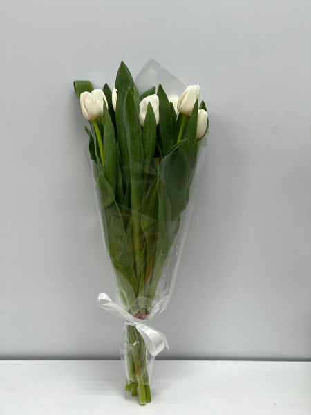 7 белых тюльпанов (7 букетов)