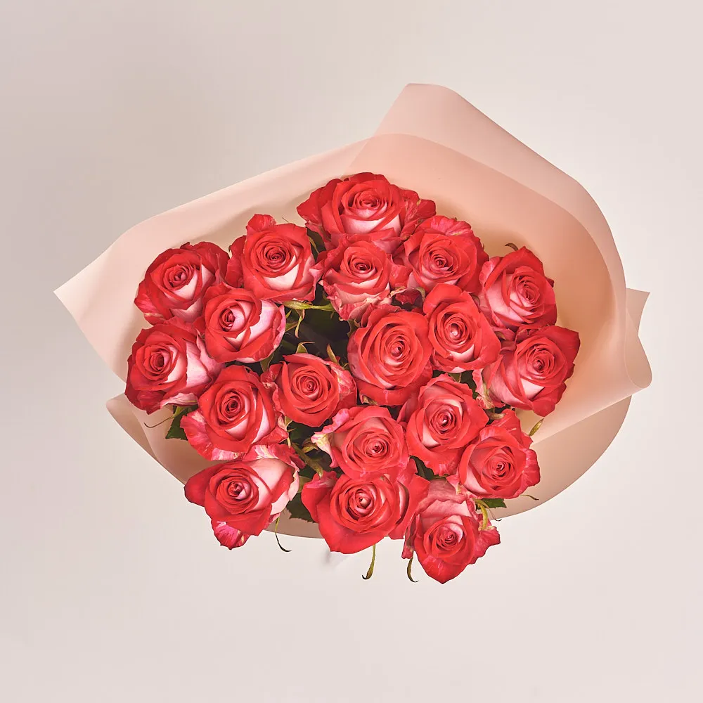 19 красно-белых роз (50 см)