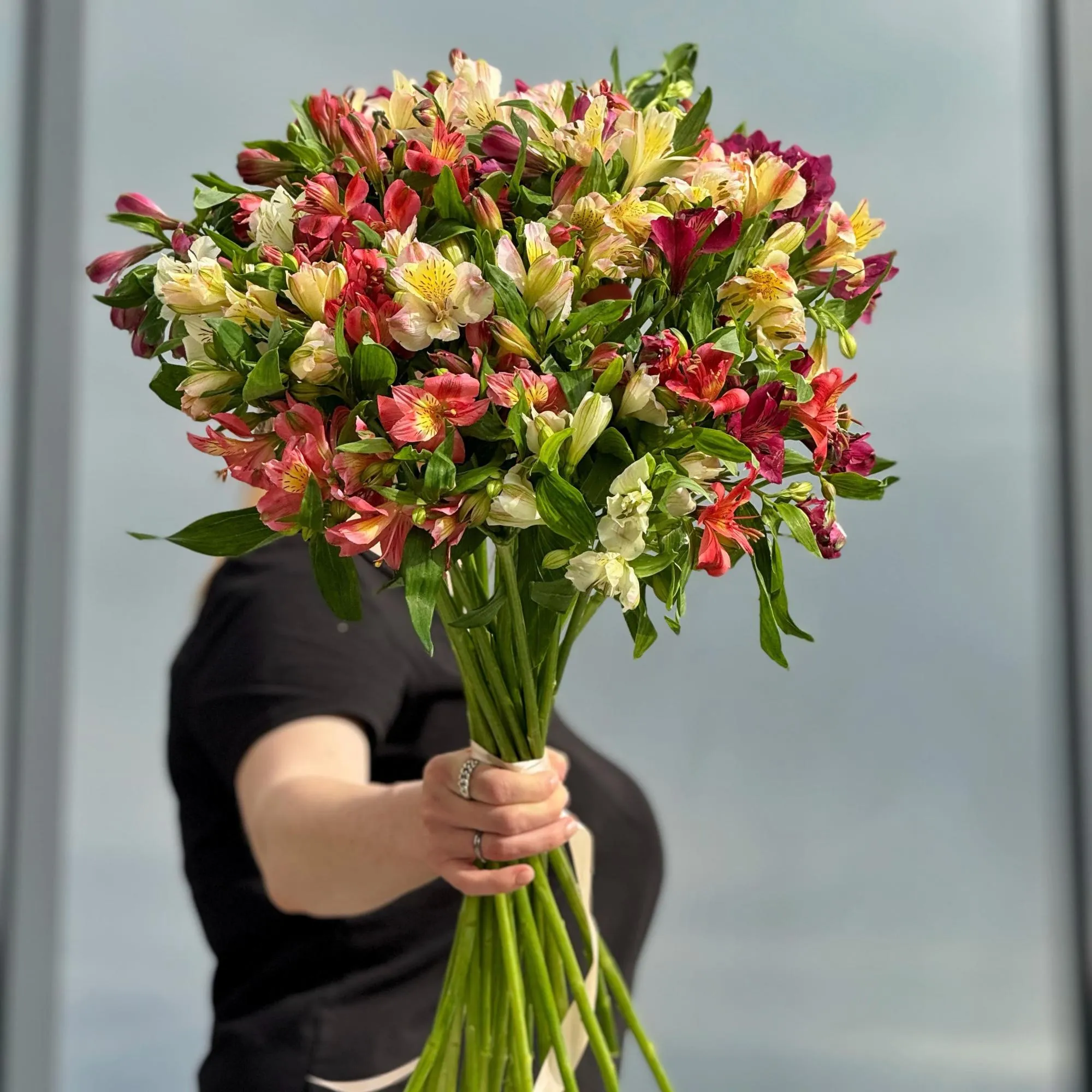 19 альстромерии