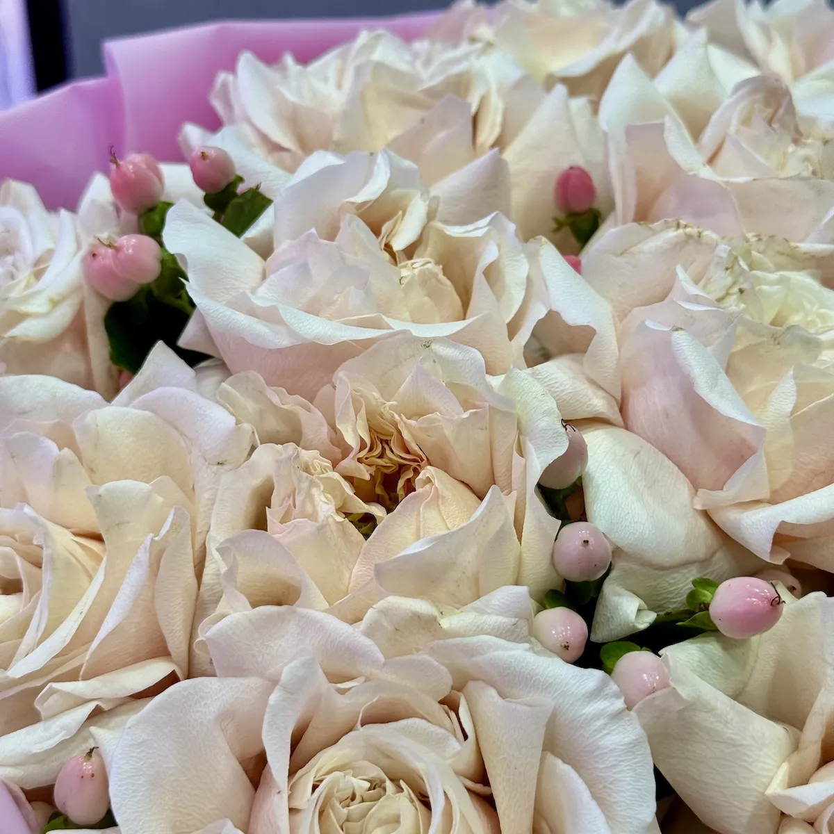 Букет из роз эквадор и гиперикумов