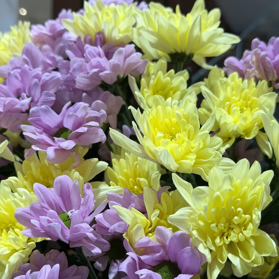 Букет из кустовых хризантем