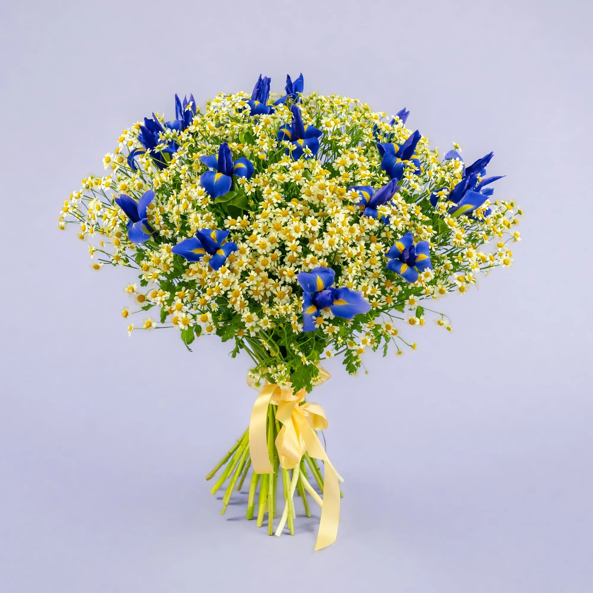 19 ирисов и ромашки