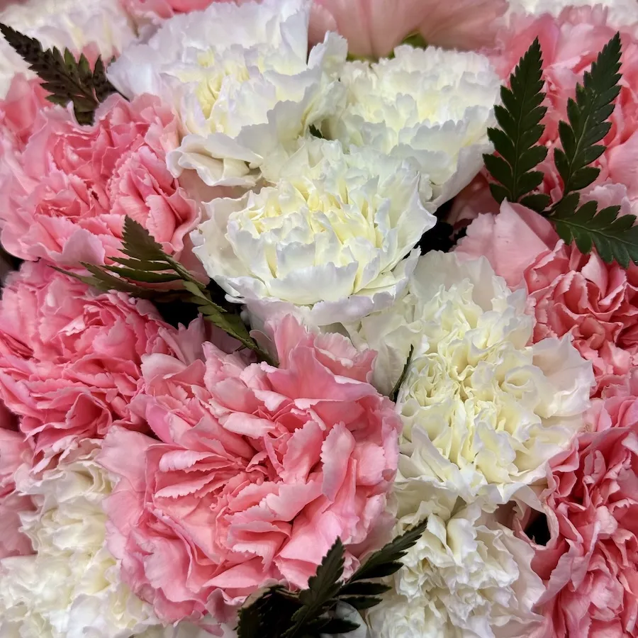 Букет из гвоздик большой