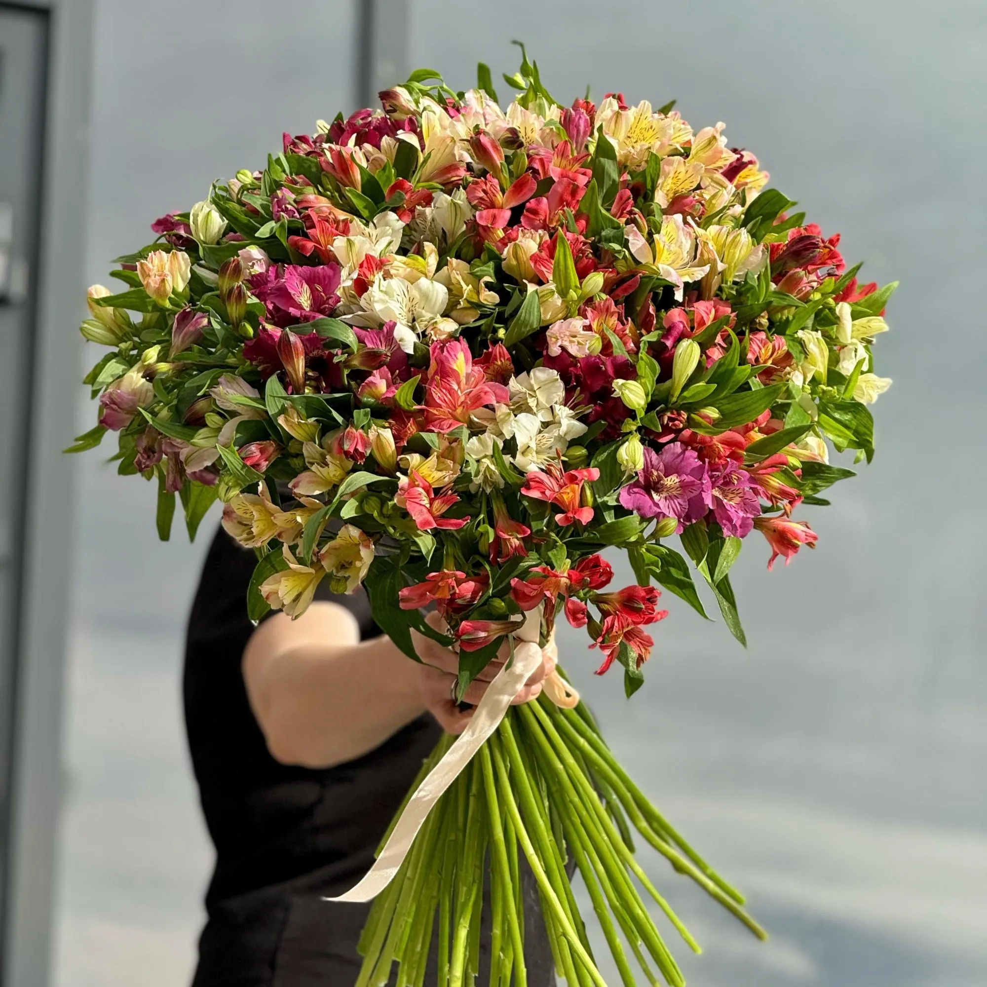 49 альстромерии