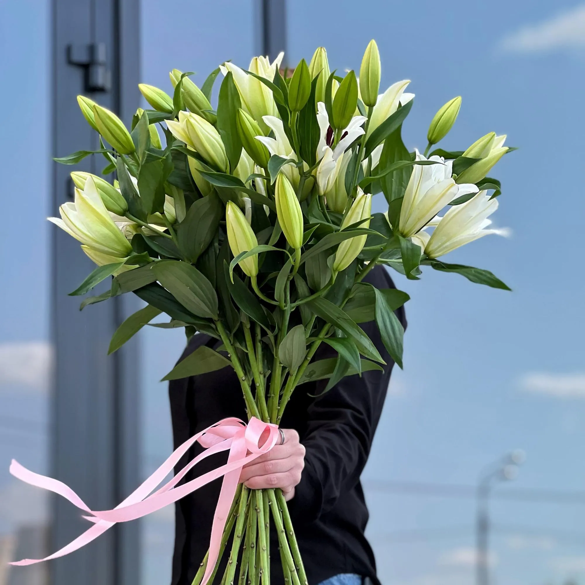 11 бело-зелёных лилий