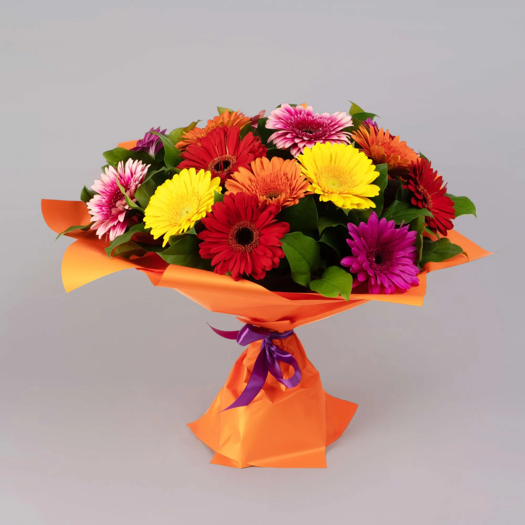 25 гербер микс