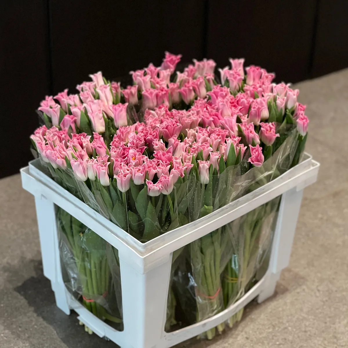 45 светло-розовых тюльпанов