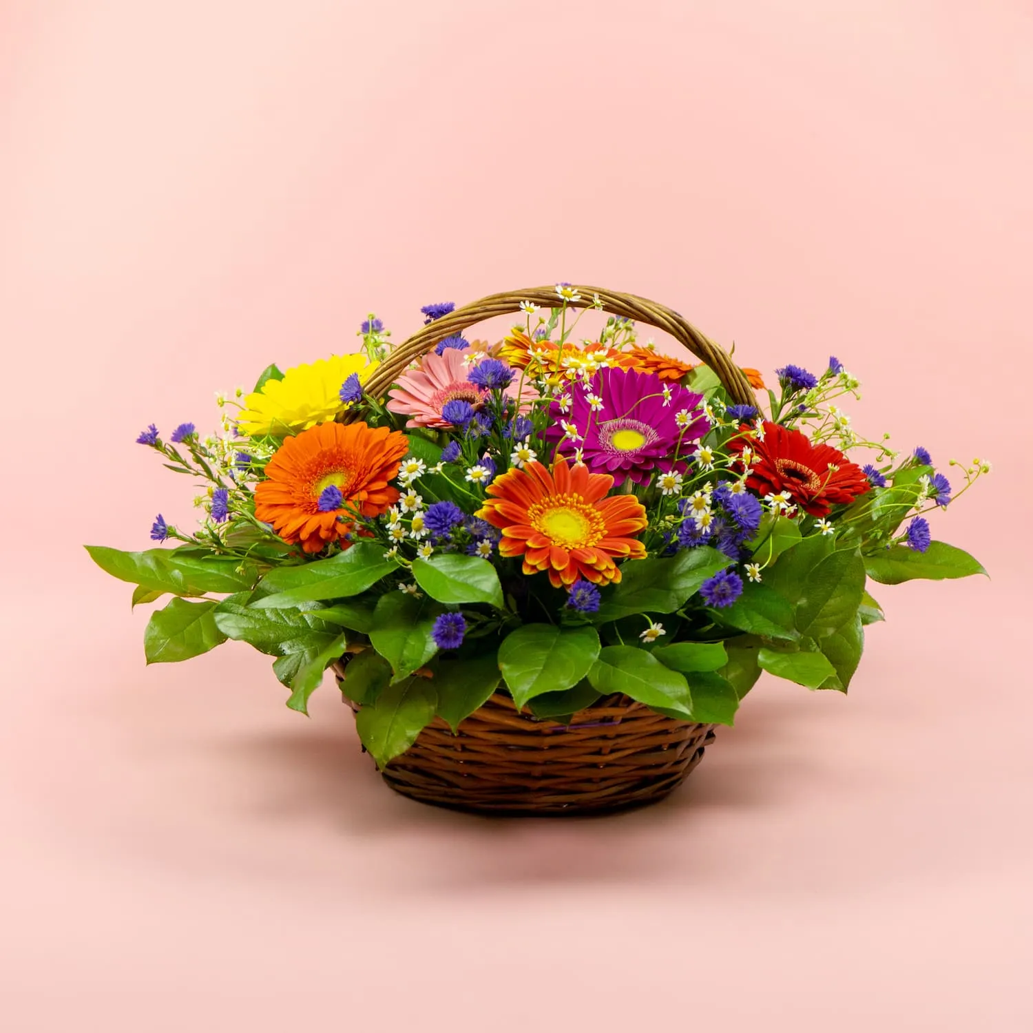 Герберы и ромашеки в корзине