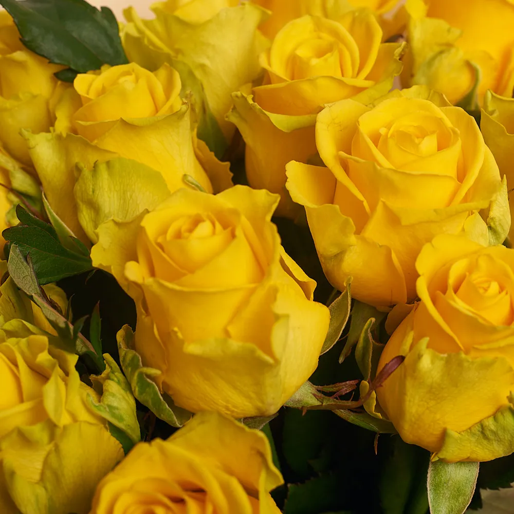 15 желтых роз (60 см)