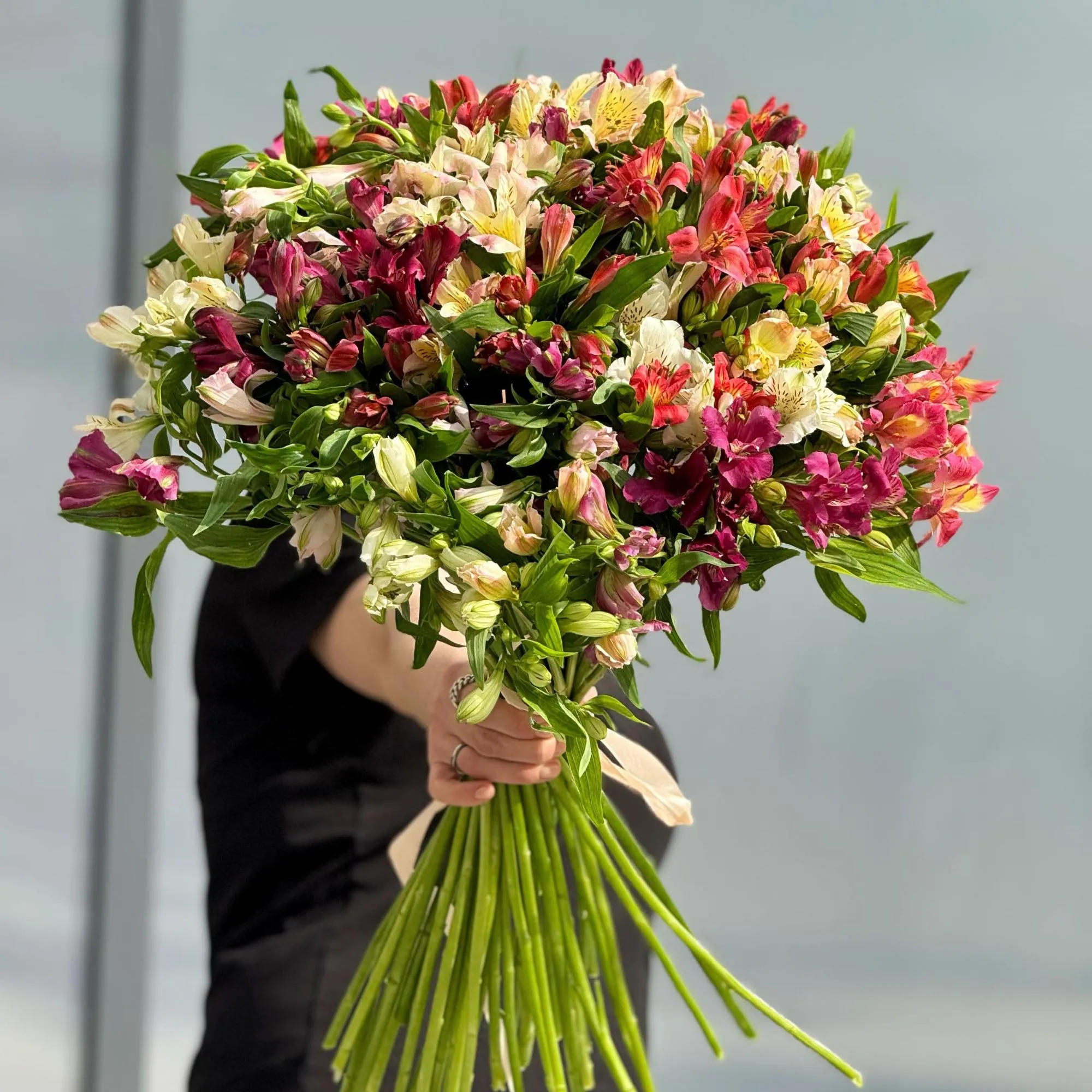 31 альстромерия