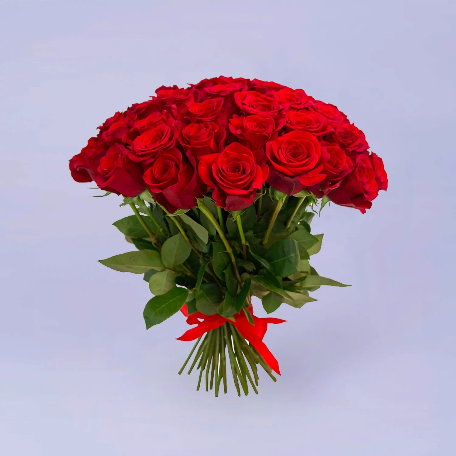 29 красных роз (50 см)