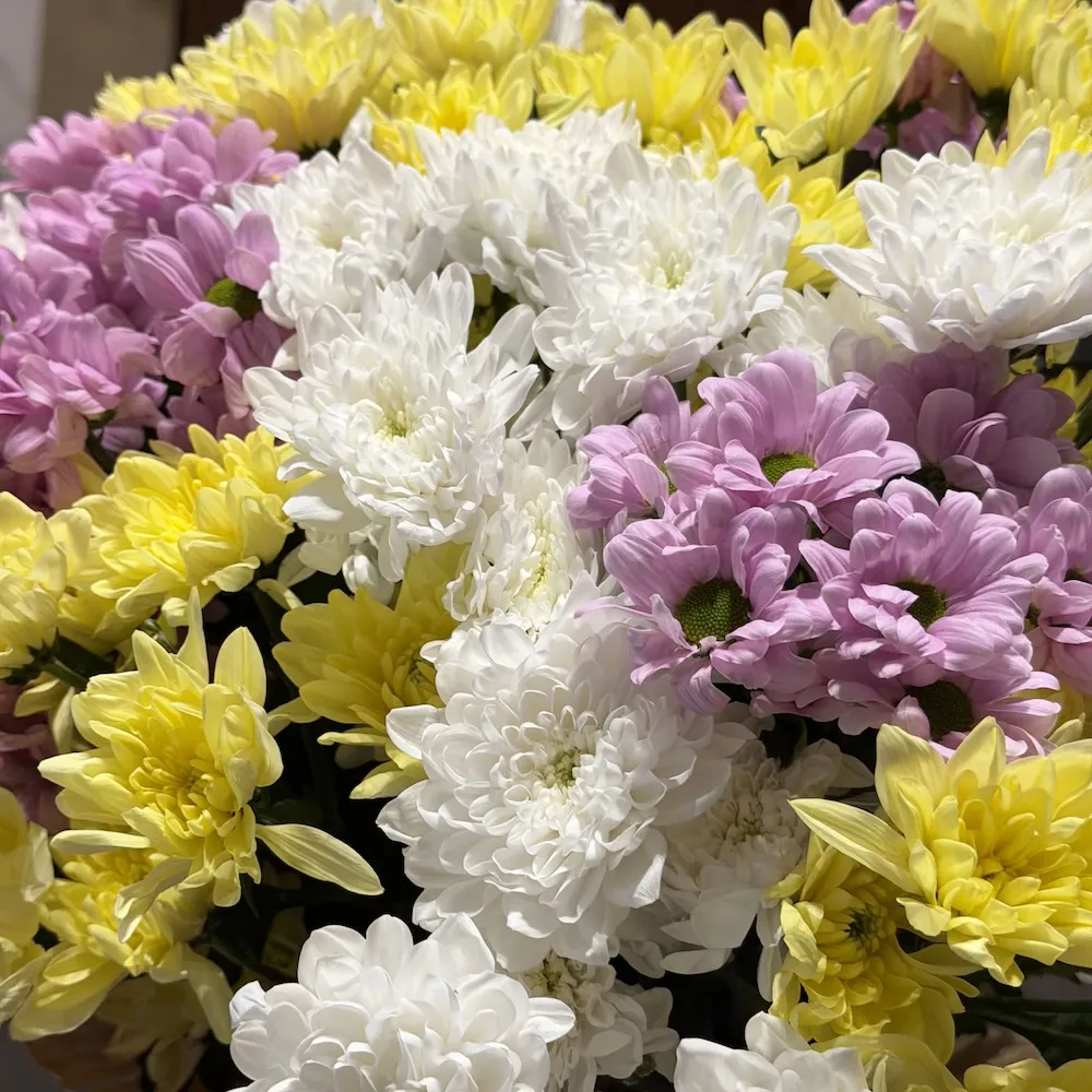 Букет из кустовых хризантем