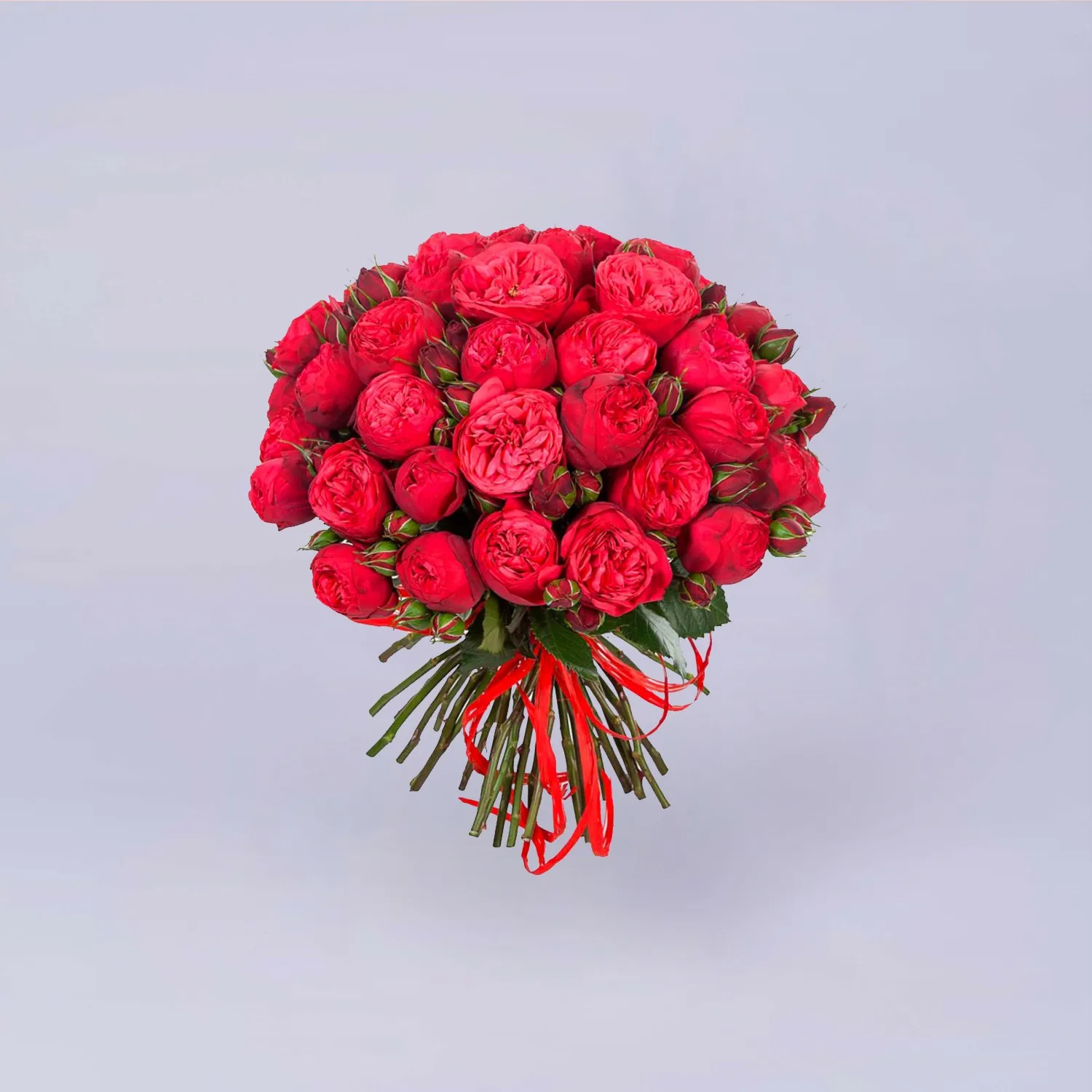 27 кустовых роз