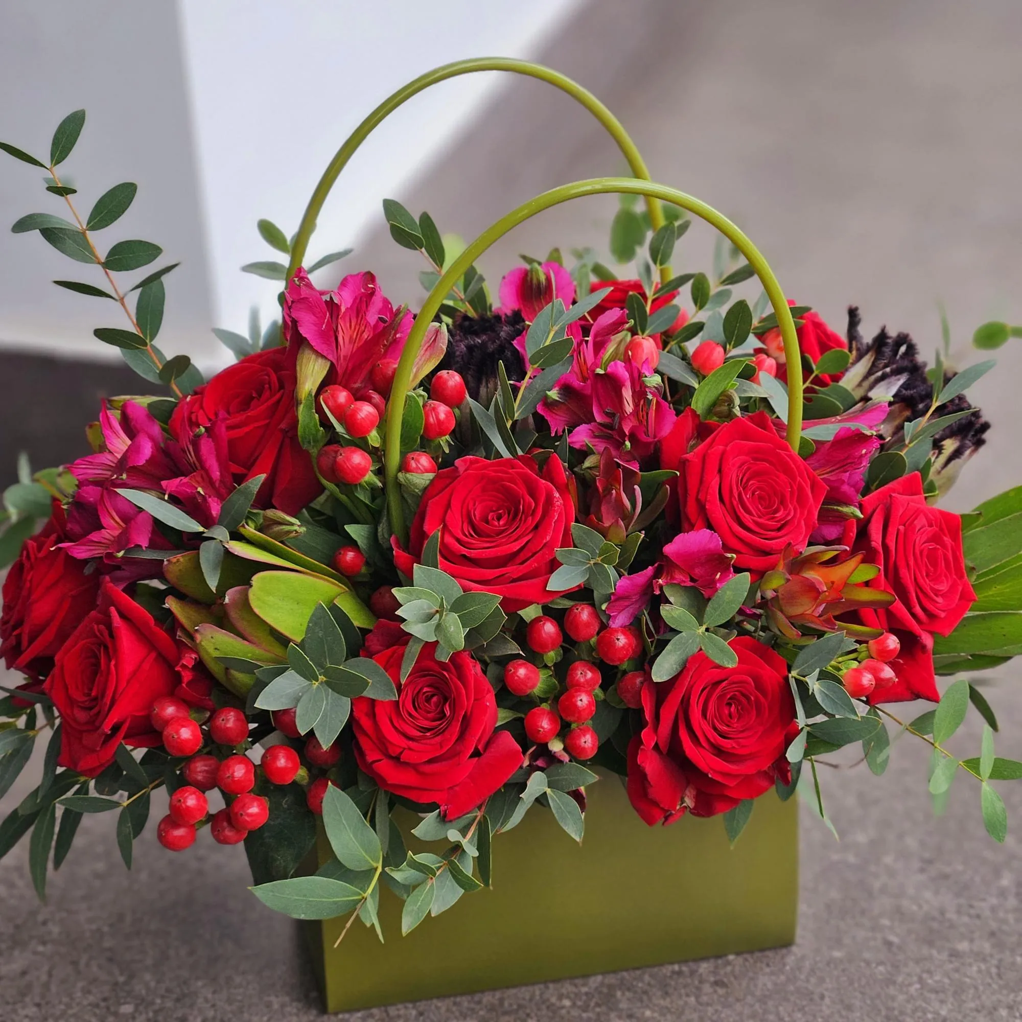 Гиперикума, протея и сафари в коробке