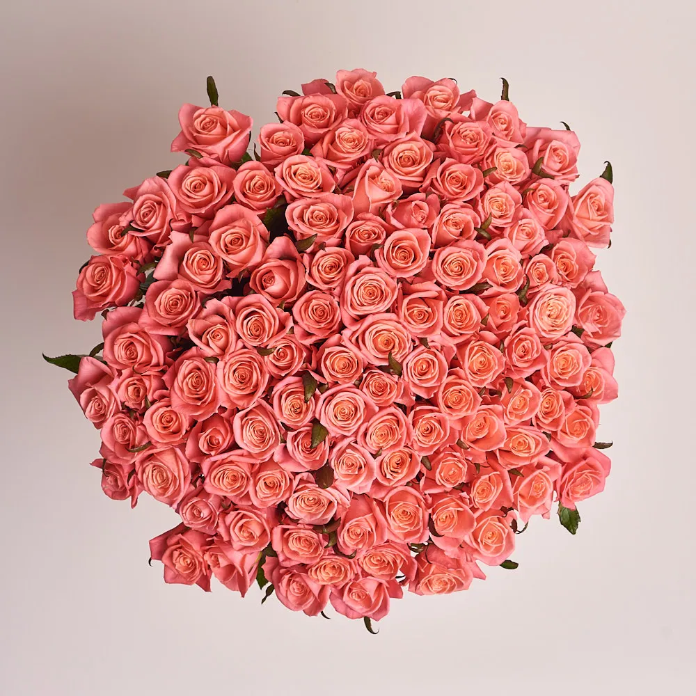 101 коралловая роза (70 см)