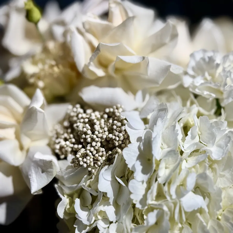 Букет из гвоздик, гортензий и роз эквадор в корзине