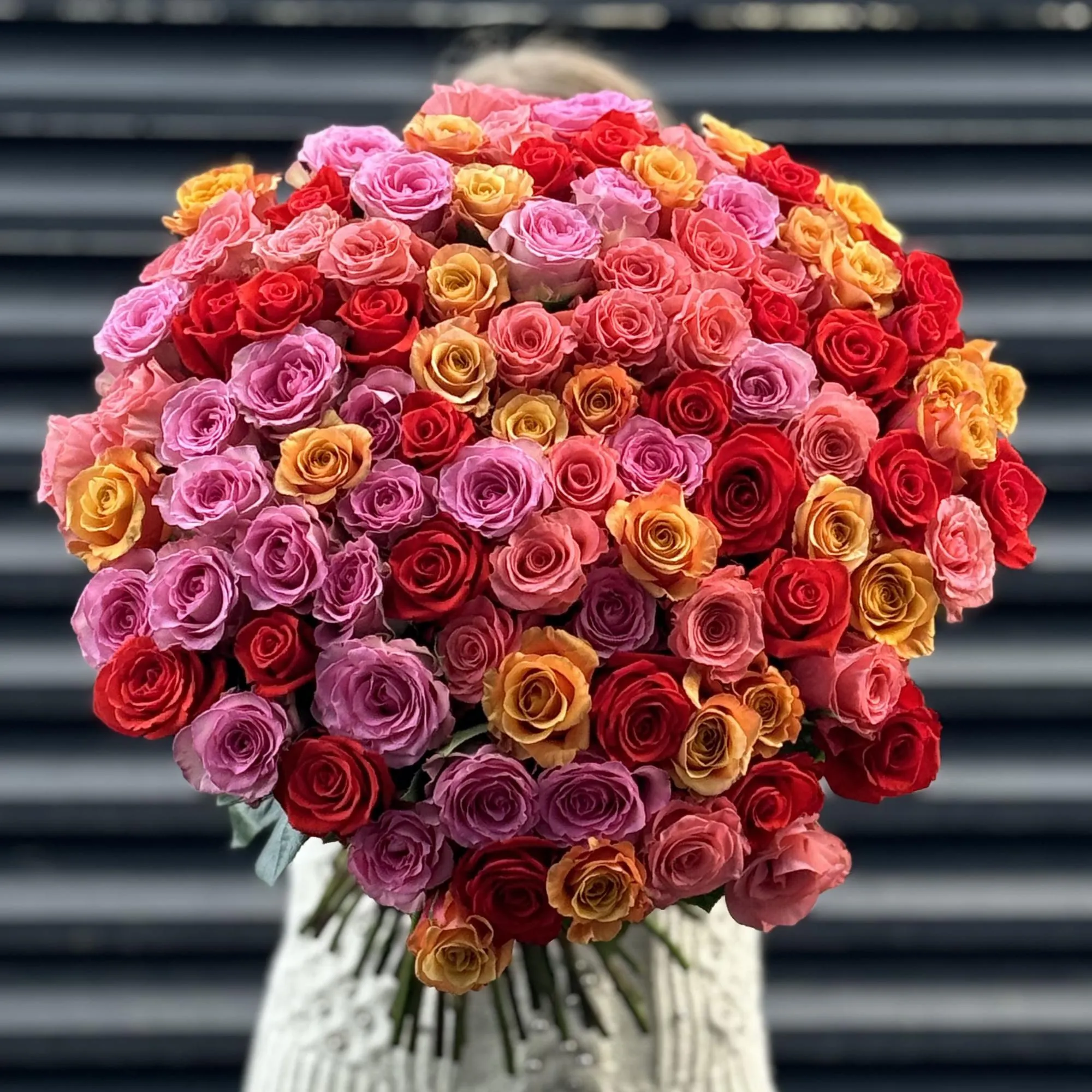 Букет 101 яркий микс роз эквадор (60см)
