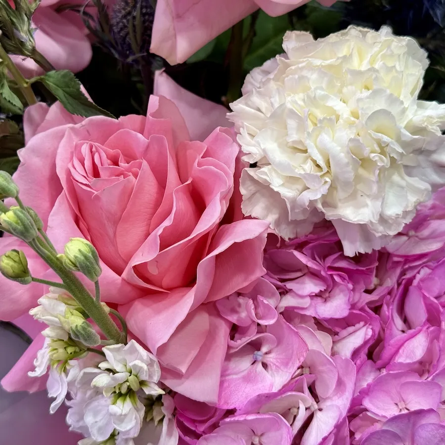 Букет из пионов, гвоздик и роз эквадор в корзине