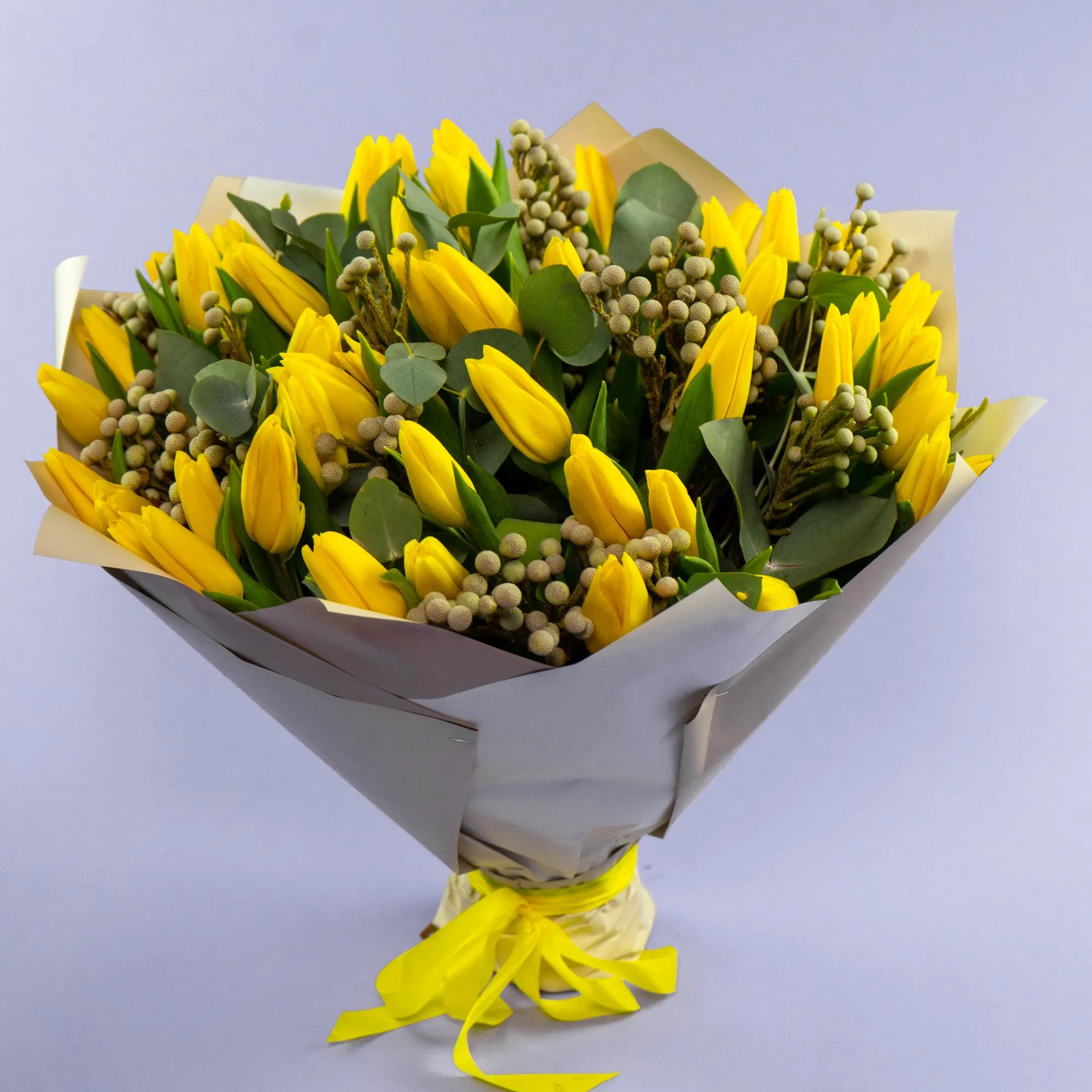 Букет из 50 тюльпанов и брунии
