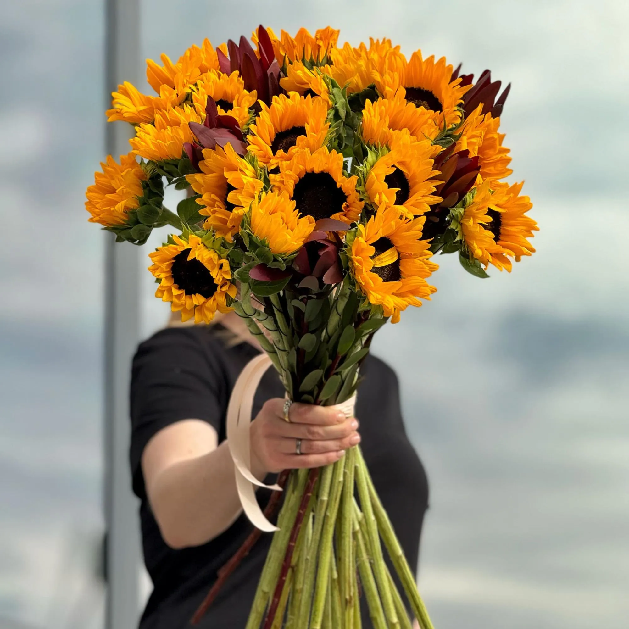 19 подсолнухов и сафари