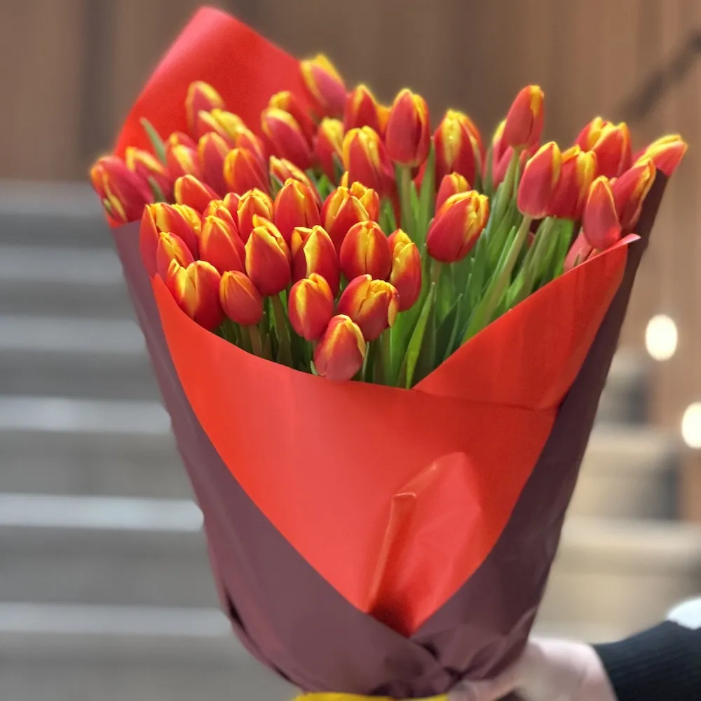 37 тюльпанов