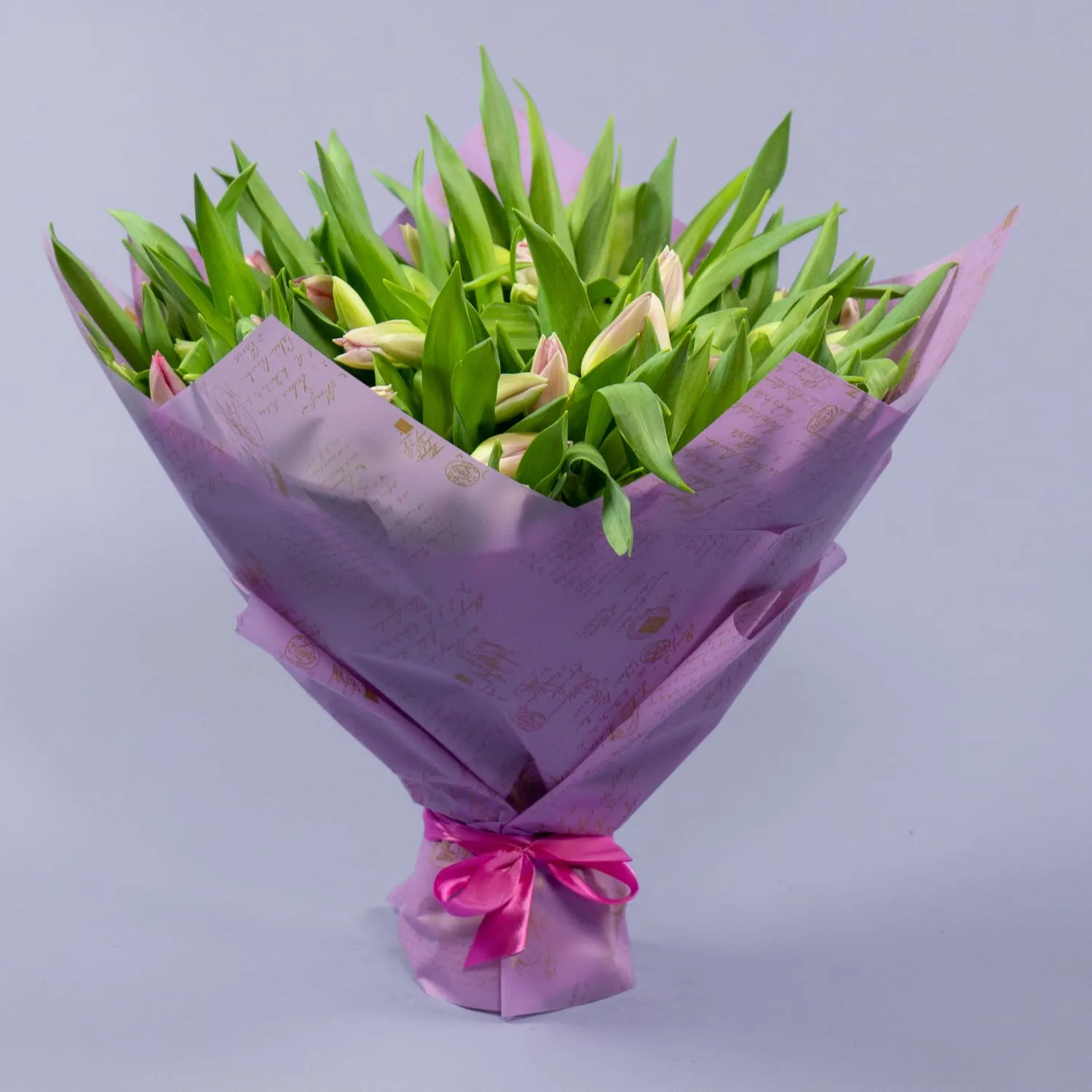 101 нежно-розовый тюльпан