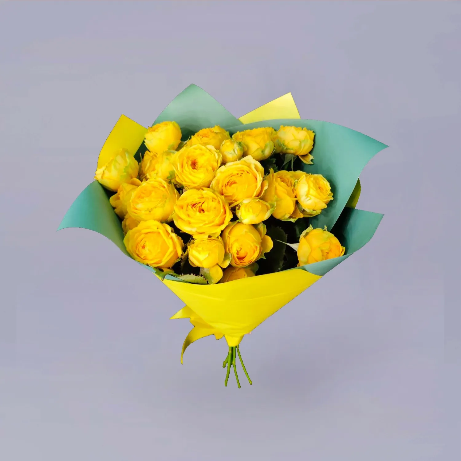 5 кустовых роз