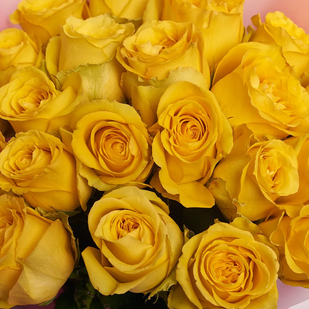 21 желтая роза (60 см)