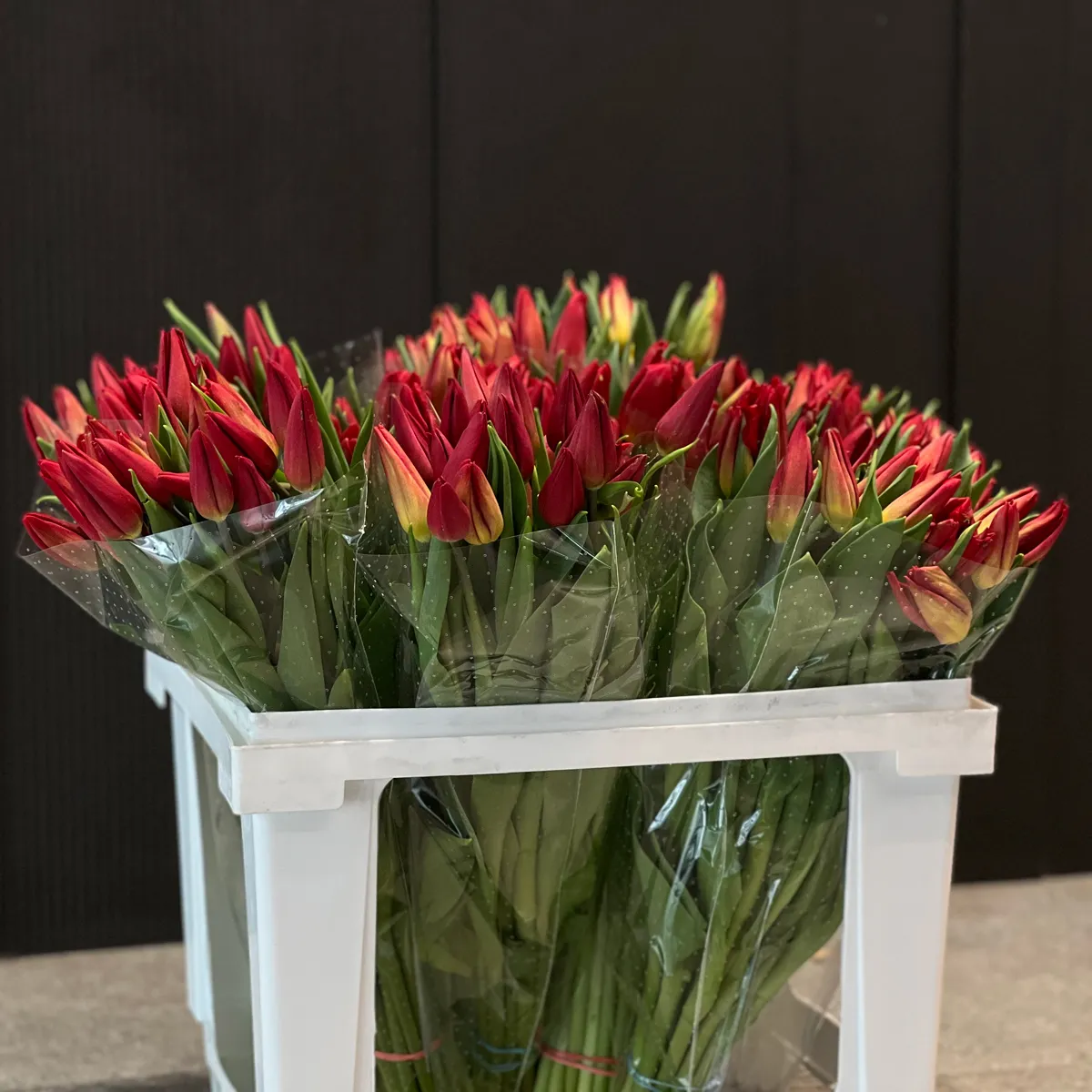 53 красных тюльпанафото №1 53 красных тюльпана