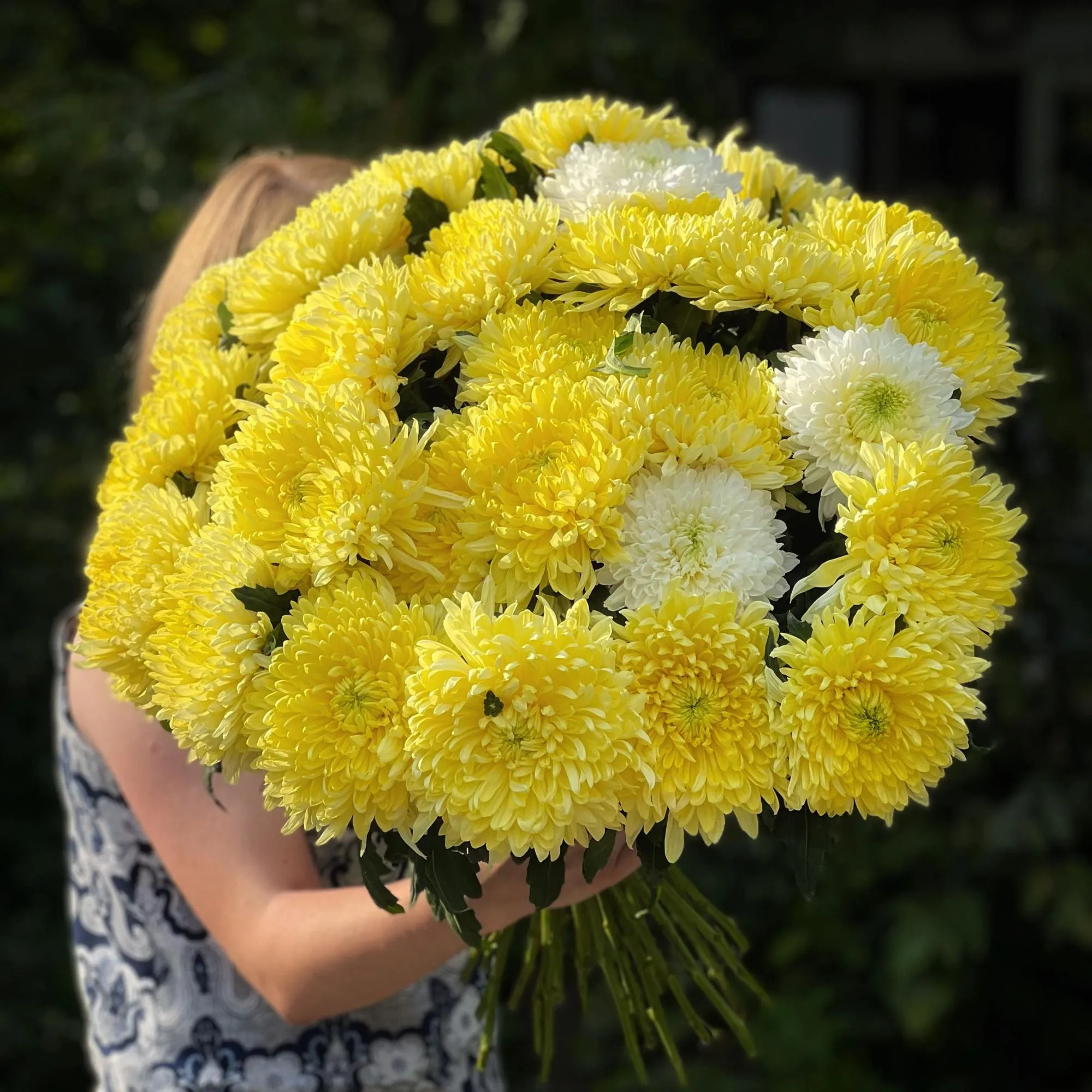 25 одноголовых хризантем