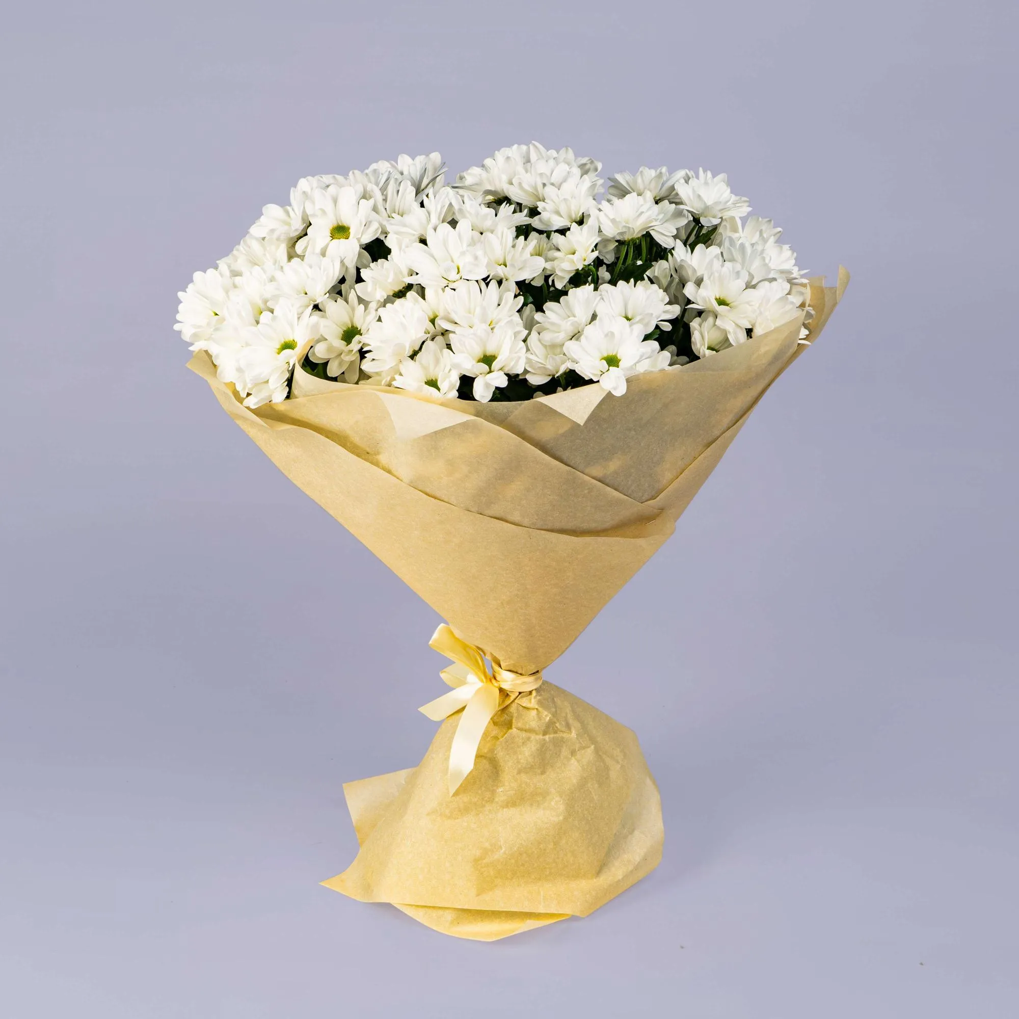 25 хризантем Бакарди