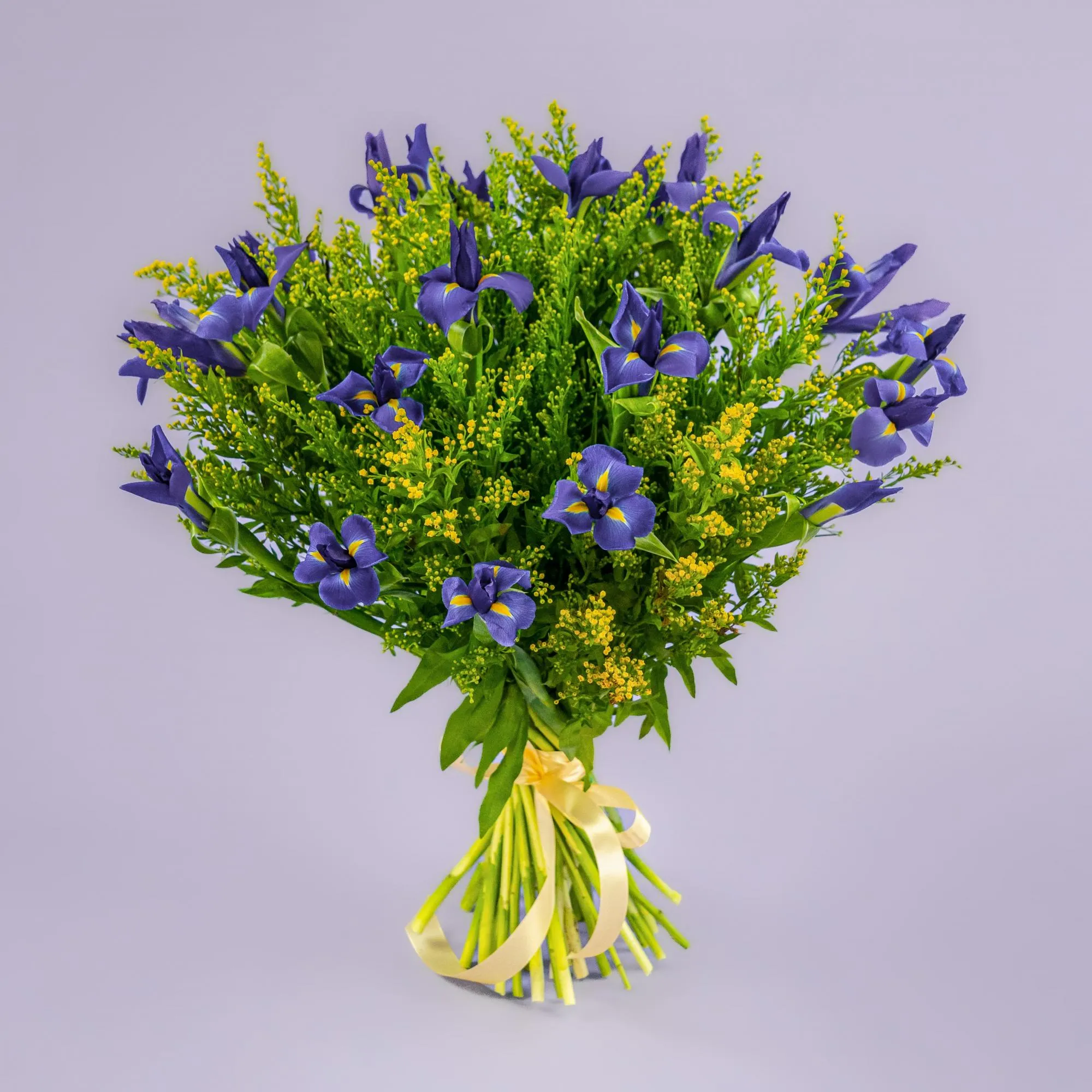 Букет из 25 ирисов