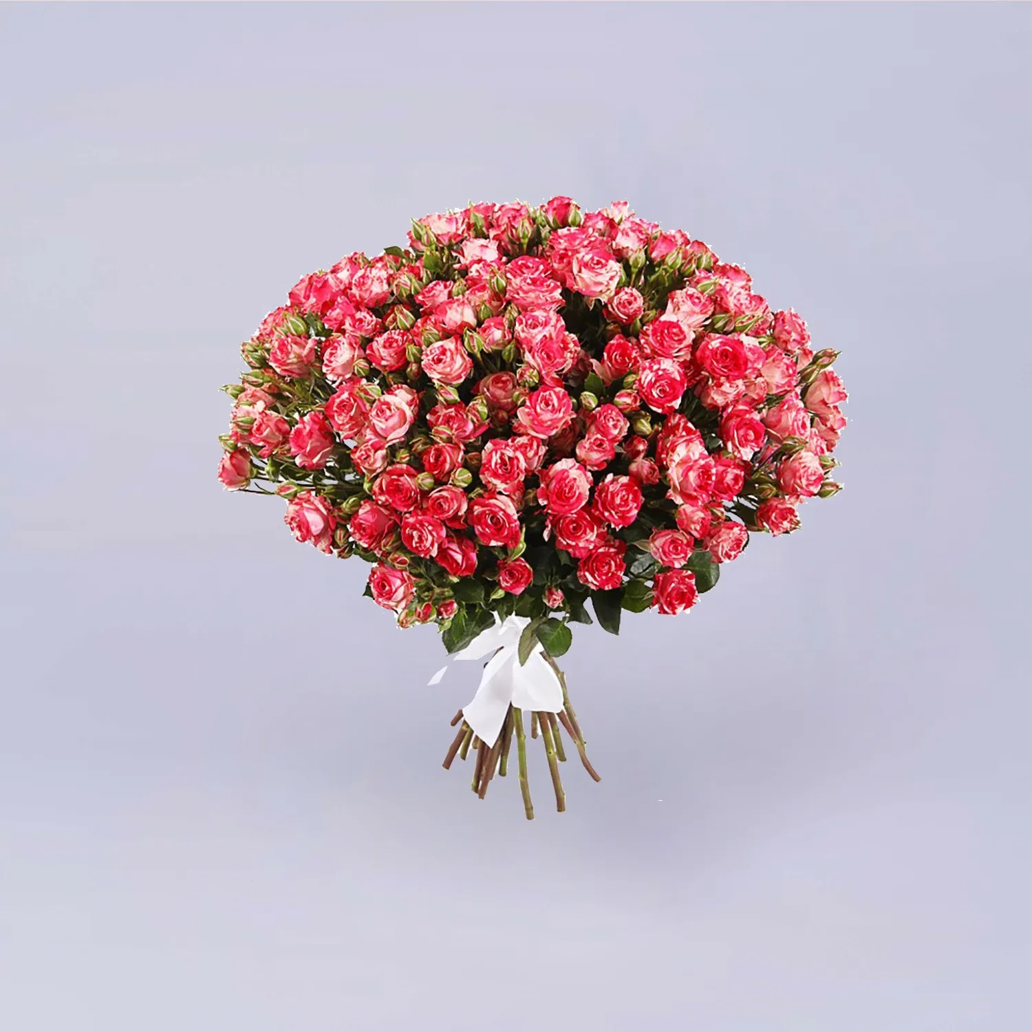 19 кустовых роз